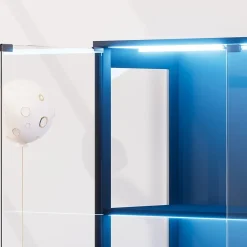 Vitrine Moderne avec 4 Niveaux et Éclairage LED - Meuble de Rangement Intelligent Anti-Poussière en Verre - Noir, 80x35x165 cm
