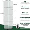 Vitrine sur Pied en Verre, Collection, 4 Couches, 1 Porte, LED, 39.8x35x163 cm, Salon, Chambre, Bureau, Noir