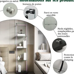 Vitrine sur Pied en Verre, Collection, 4 Couches, 1 Porte, LED, 39.8x35x163 cm, Salon, Chambre, Bureau, Noir